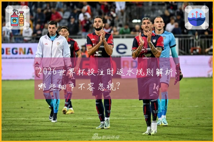 2026世界杯投注时返水规则解析，哪些细节不容忽视？