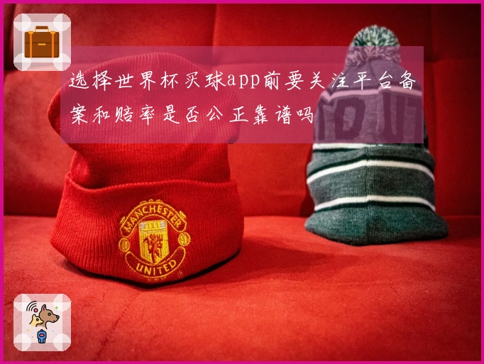 选择世界杯买球app前要关注平台备案和赔率是否公正靠谱吗
