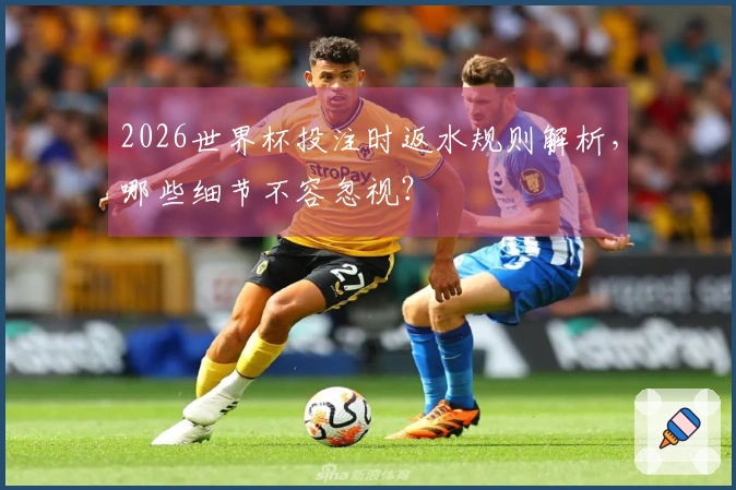 2026世界杯投注时返水规则解析，哪些细节不容忽视？
