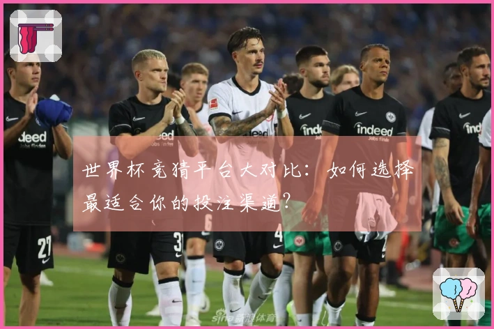 世界杯竞猜平台大对比：如何选择最适合你的投注渠道？